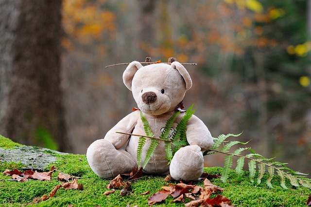 teddy bear, bear, plush toy, stuffed toy, stuffed animal, outdoors, leaves, nature, plants, forest